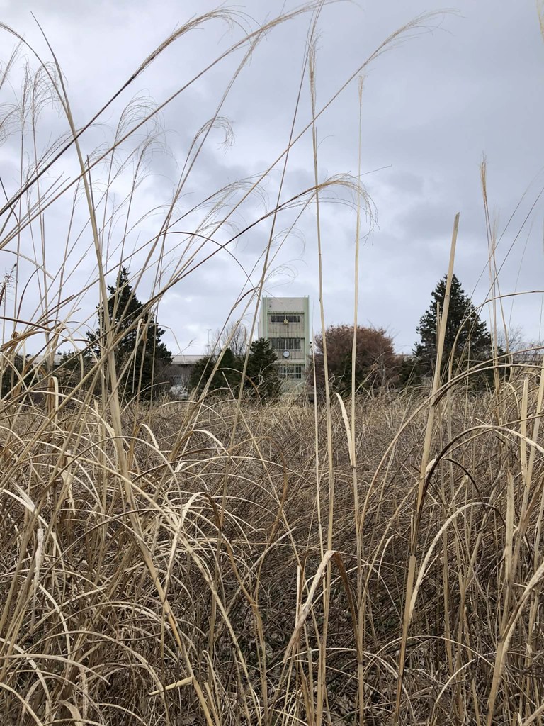 巡ってつながる　旅するように考え続ける